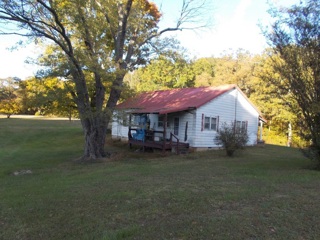 Picture 15