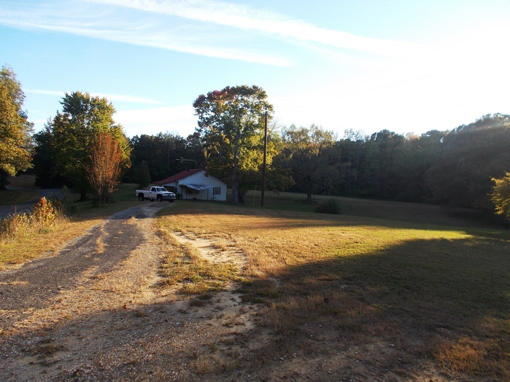 Picture 8