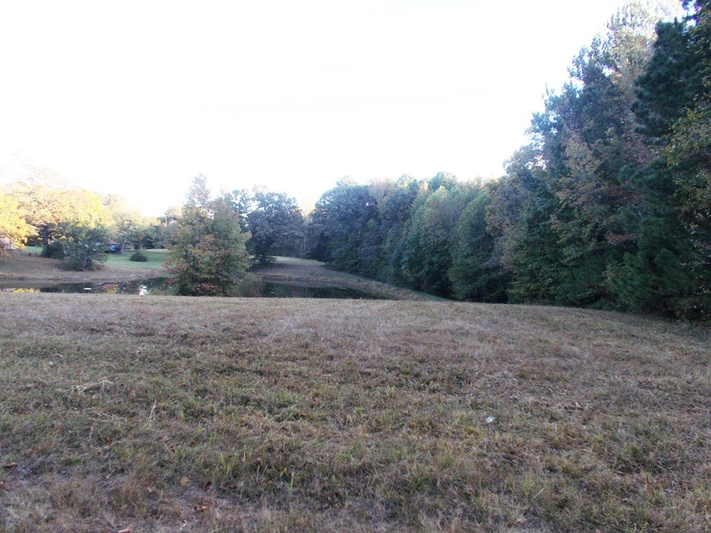 Picture 19