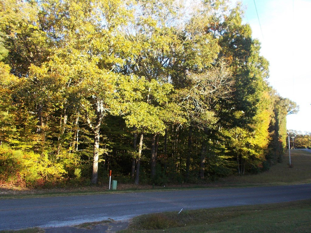Picture 25