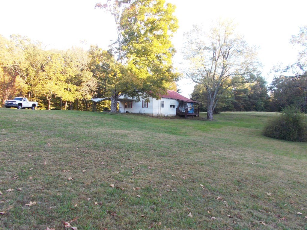 Picture 5