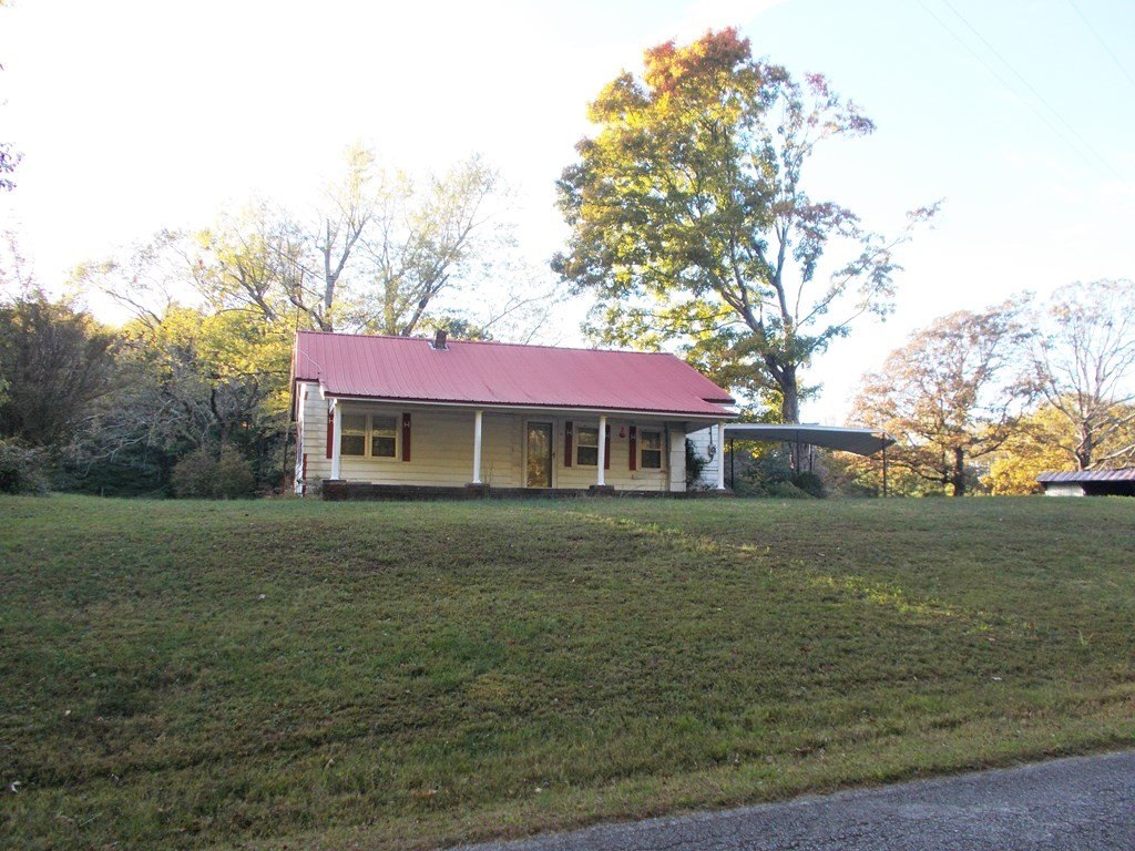 Picture 17
