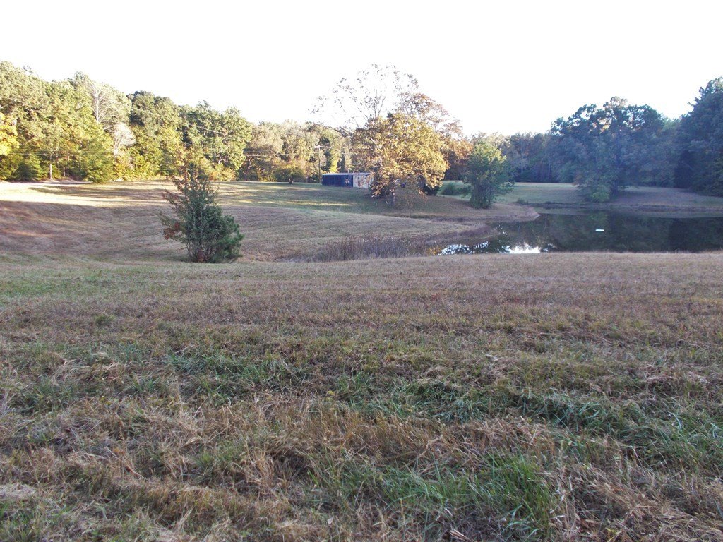 Picture 22