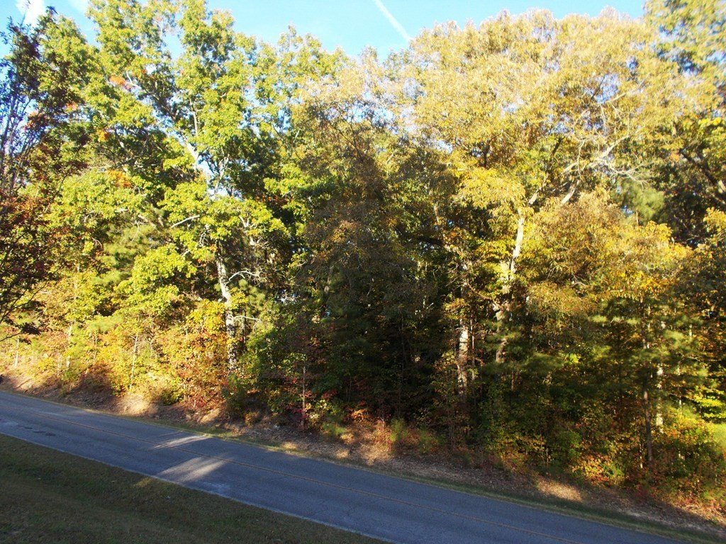 Picture 24