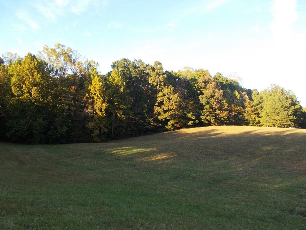 Picture 30