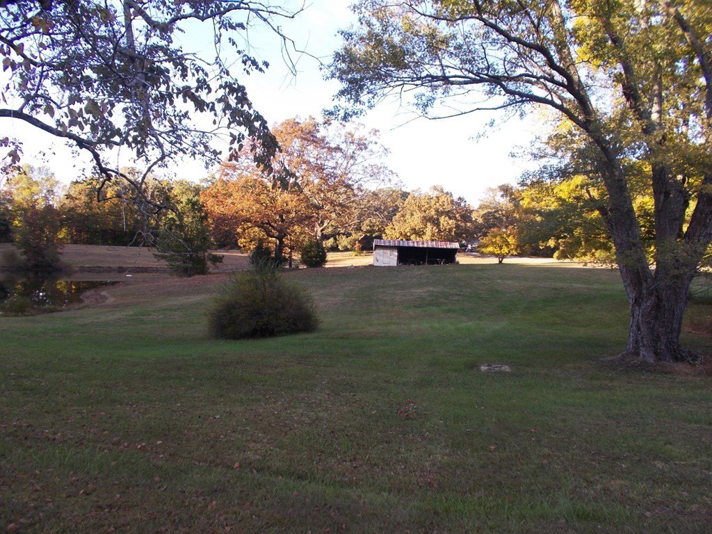 Picture 14