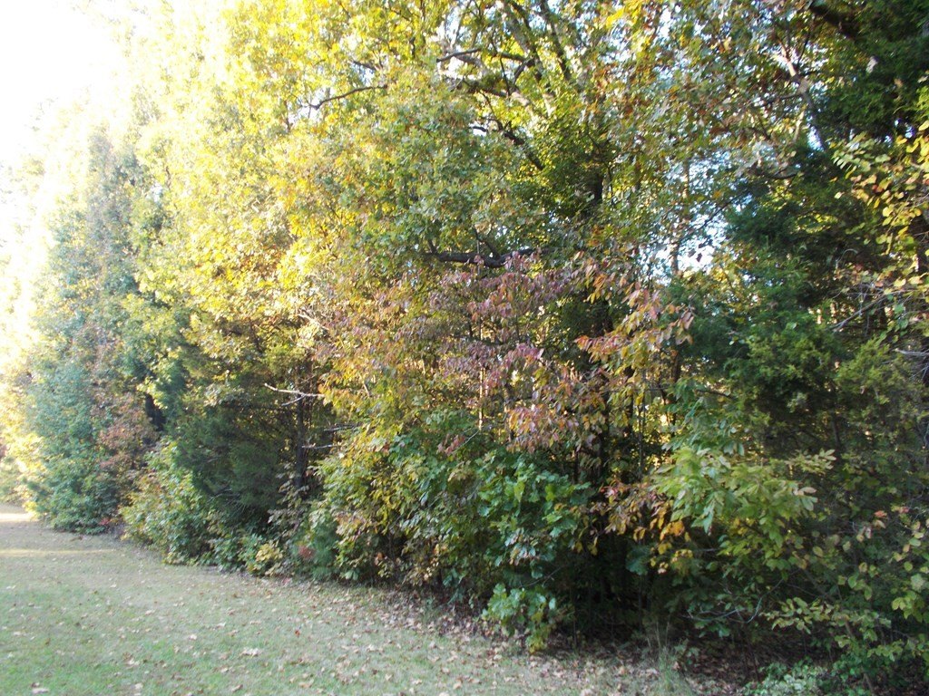 Picture 28