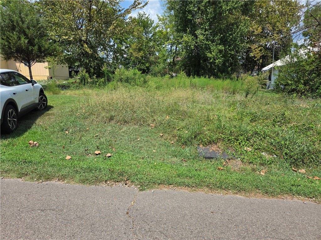 Picture 3