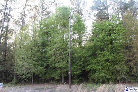 Wooded Waterfront Recreation Lot