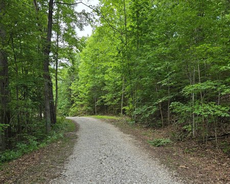 LAND - Stanton, KY