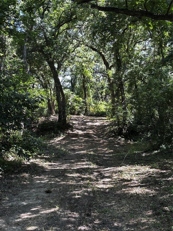 Picture 22