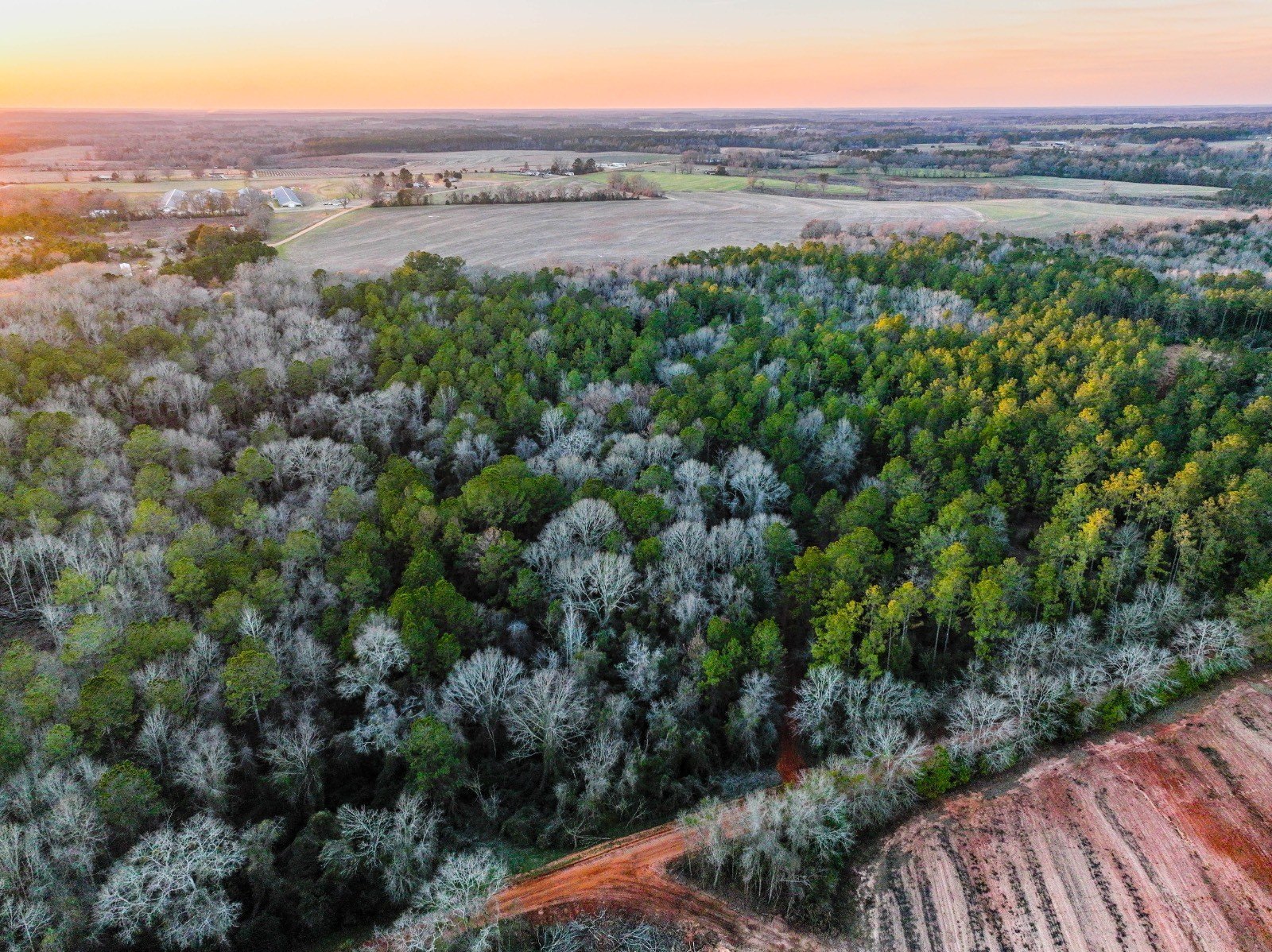 Coffee Springs Recreational Homesite Potential