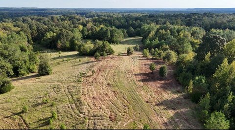 Taylor, MS 12 Acre Tract