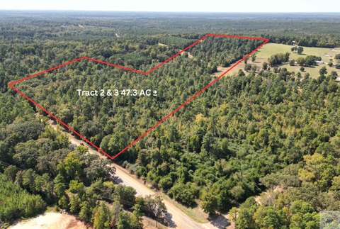 47.3 Acres in Bivins, TX