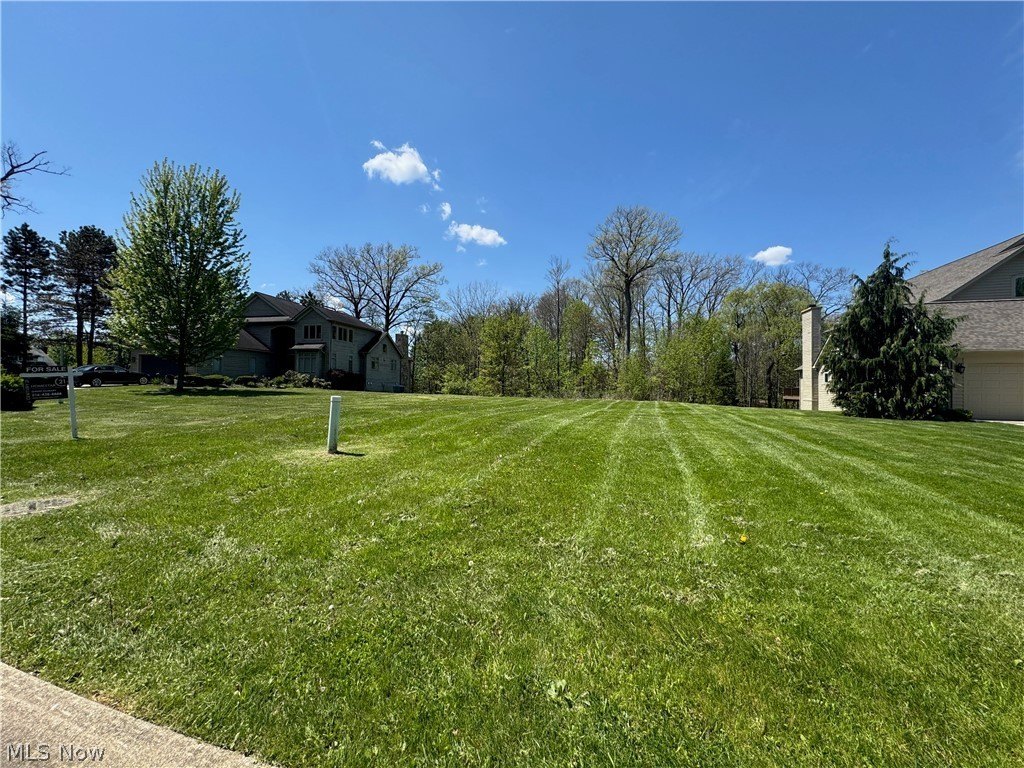 Buildable Homesite in Woods of Lyndhurst