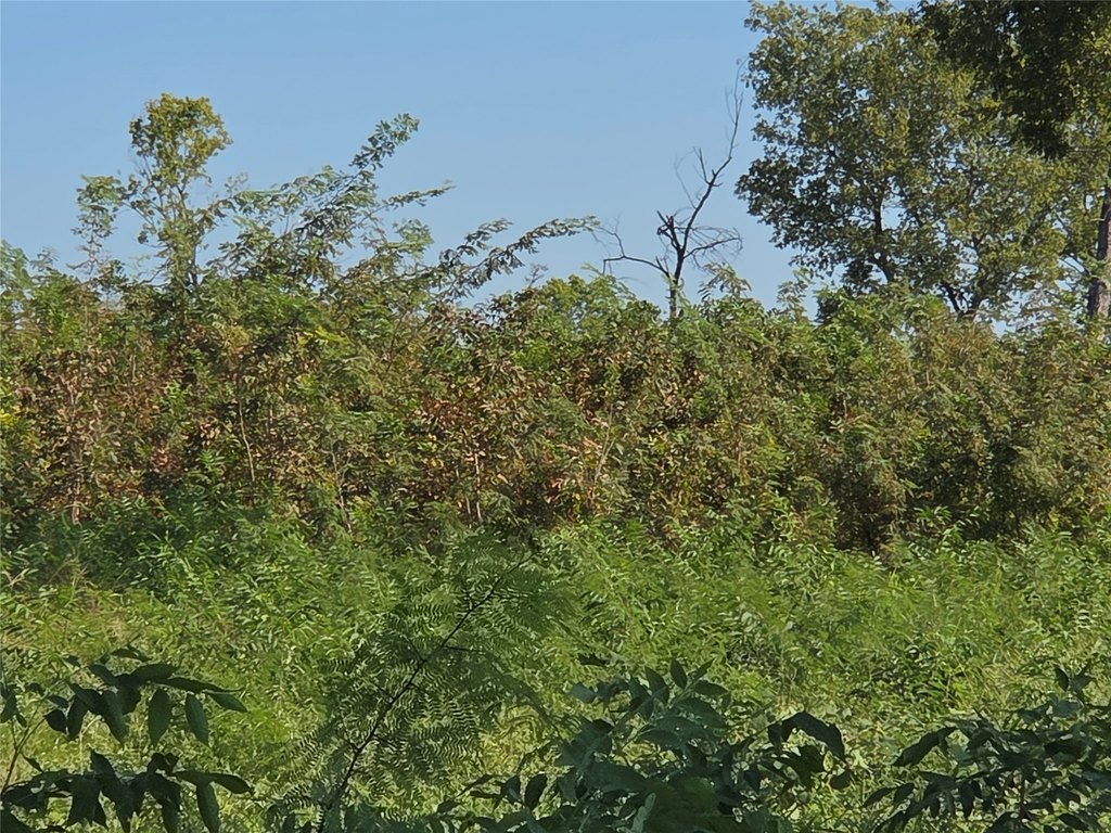 Picture 20