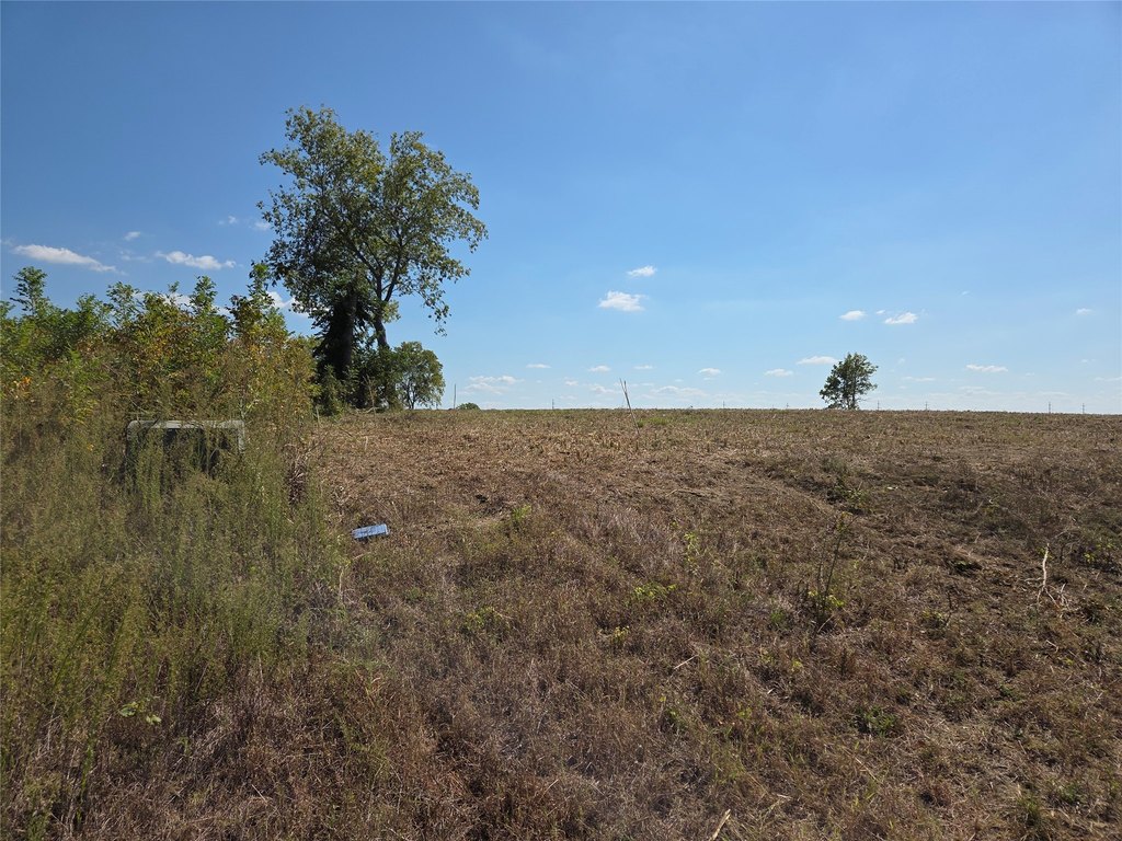 Picture 21