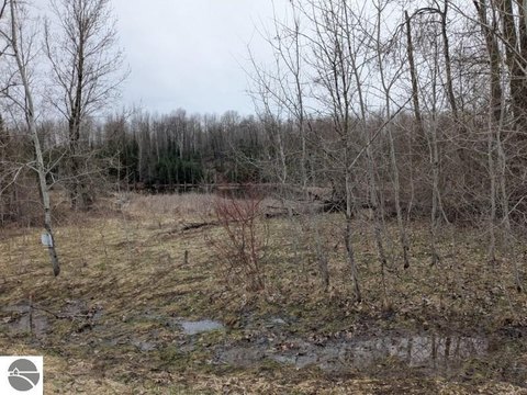 Land Near Sage Lake Access