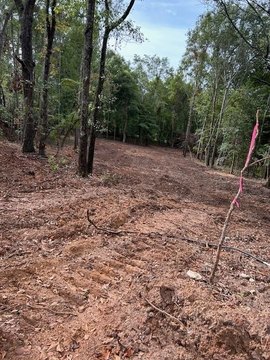 Dalzell, SC Land Opportunity