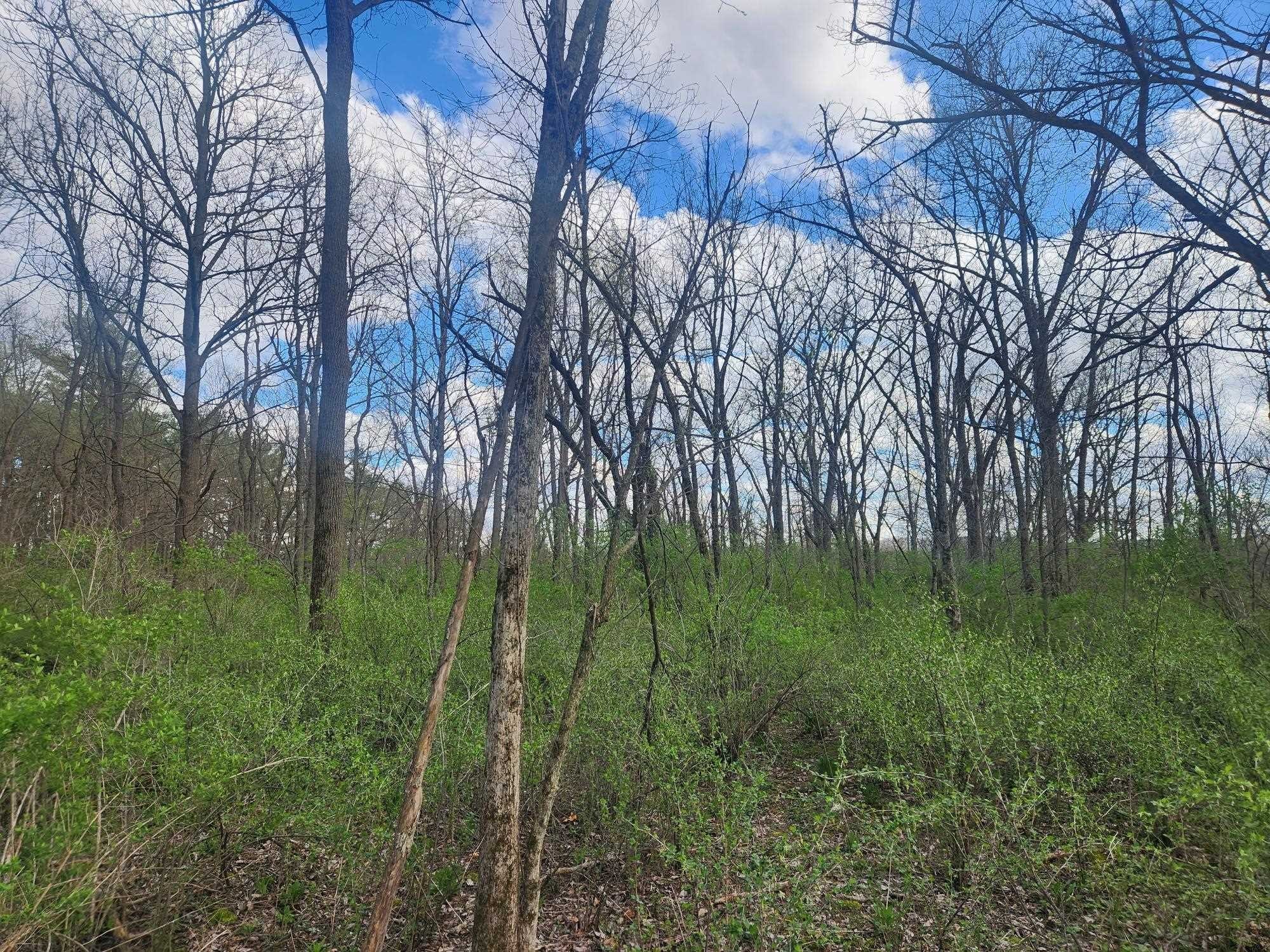 Land Overlooking Wisconsin River
