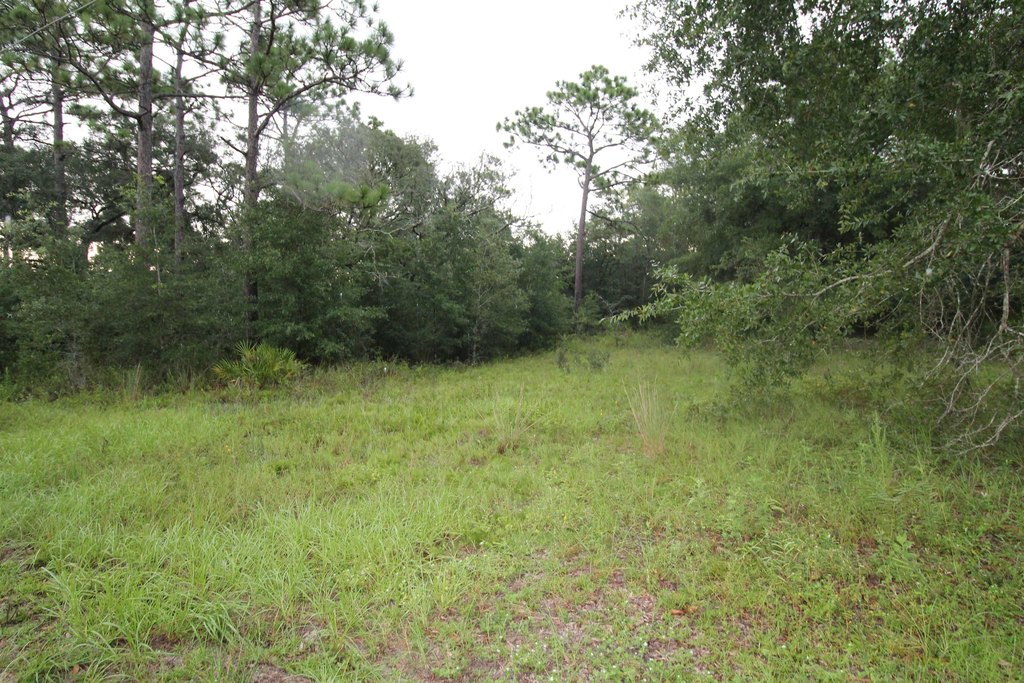 Picture 6