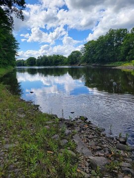 Maine Wooded Lot on Spruce