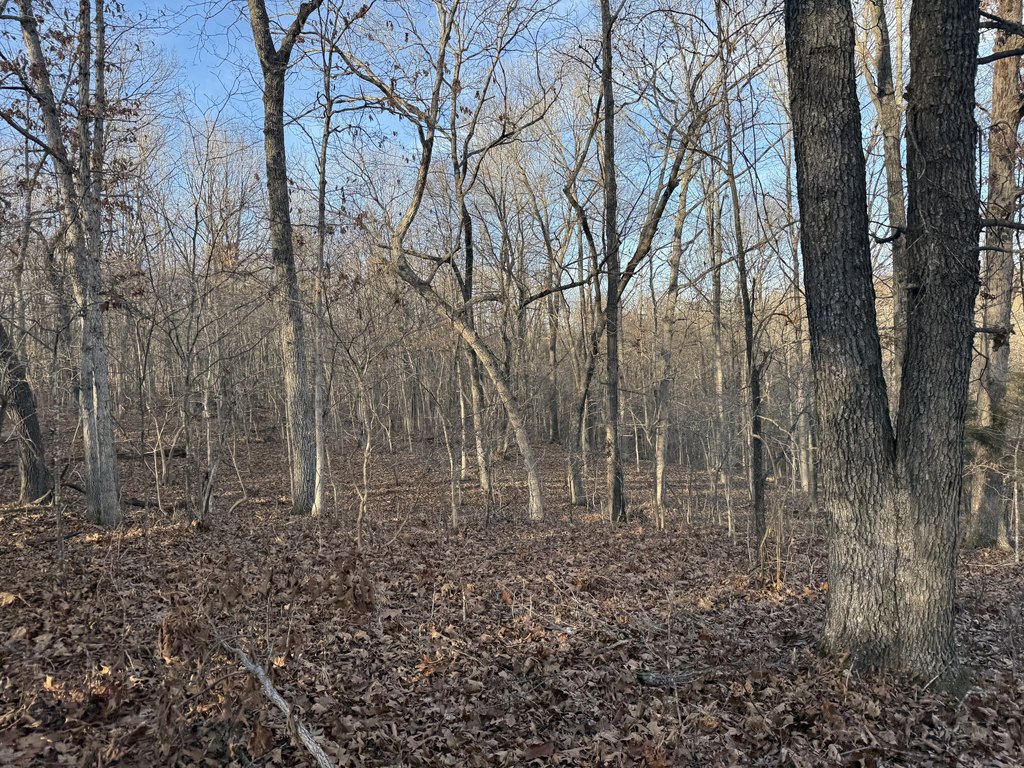 Picture 36