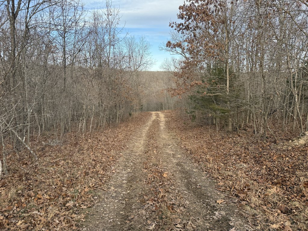 Picture 18
