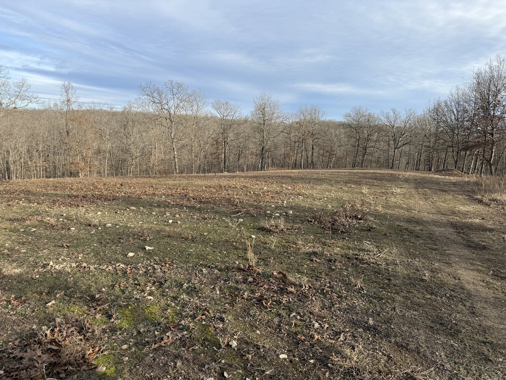 Picture 25