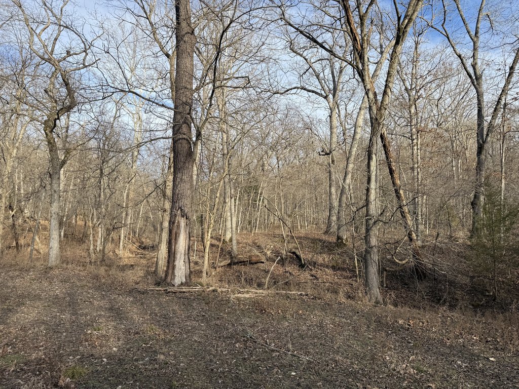 Picture 29
