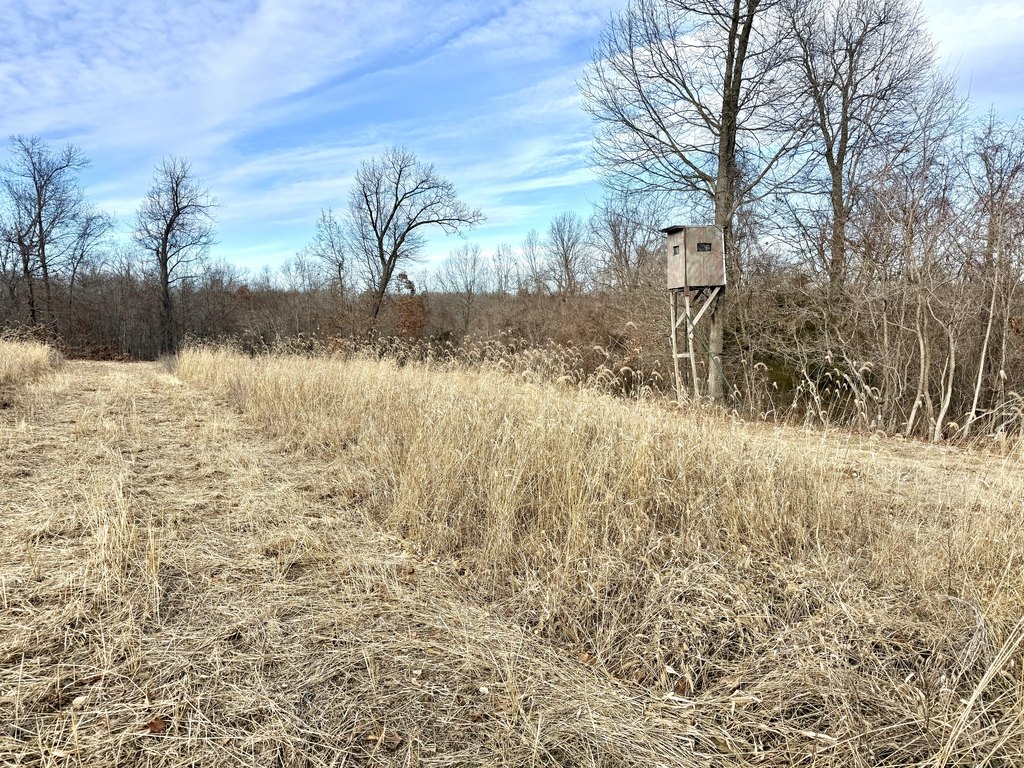 Picture 19