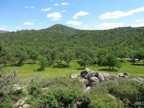 Glennville Land with Private Well