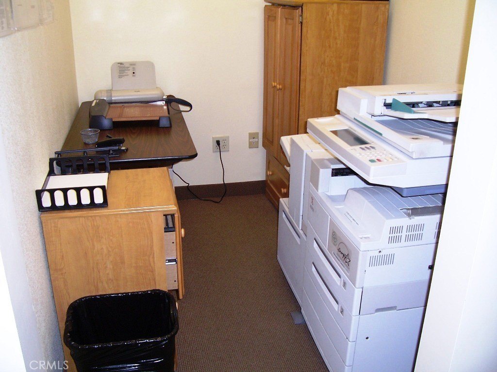 Picture 12