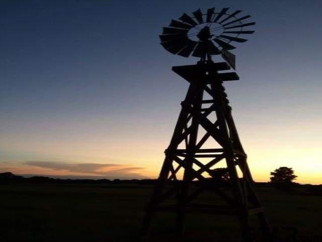 Picture 23