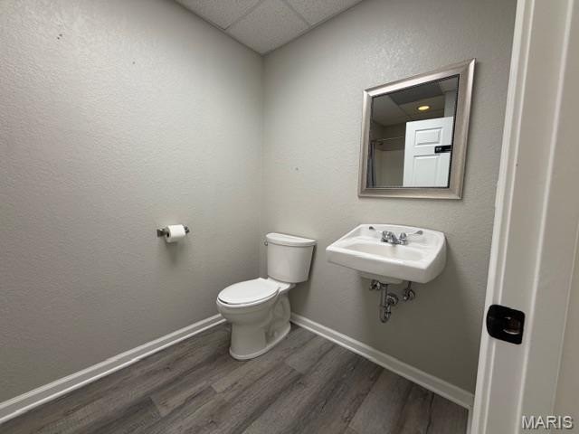 Picture 11