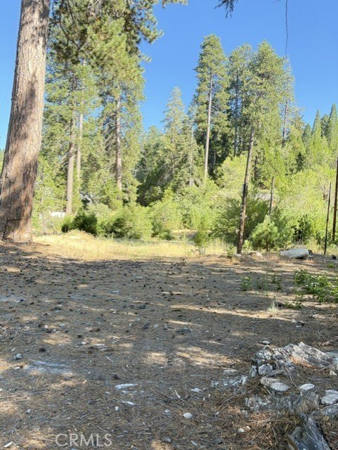 Picture 8