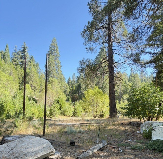 Picture 9