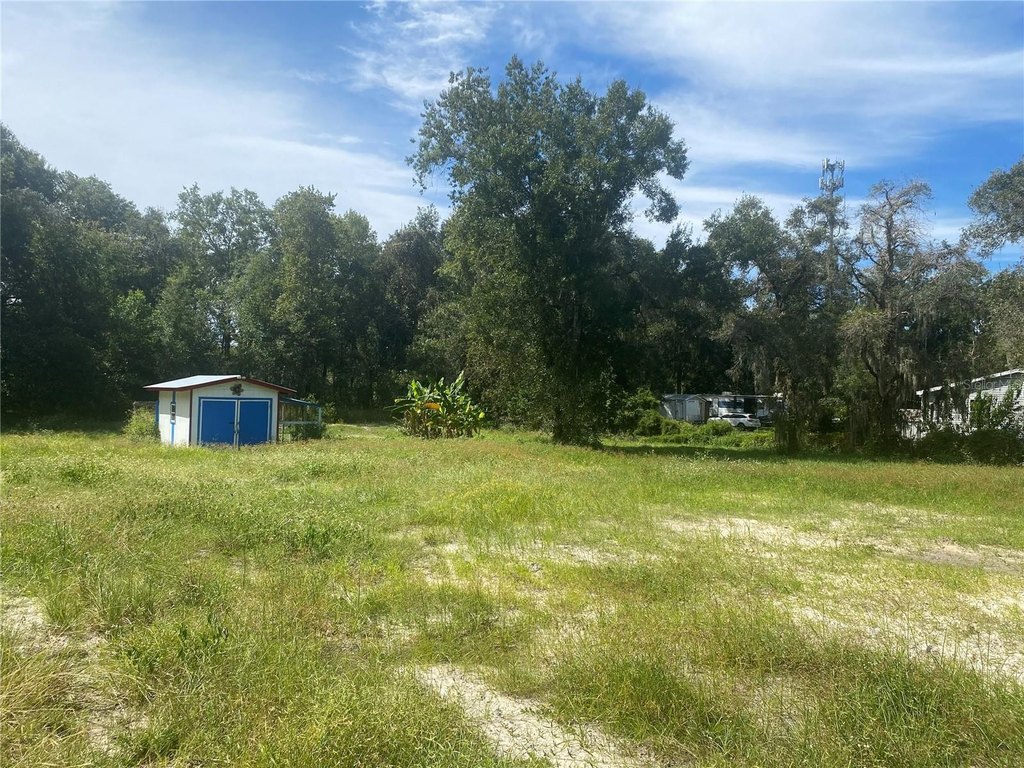 Picture 21