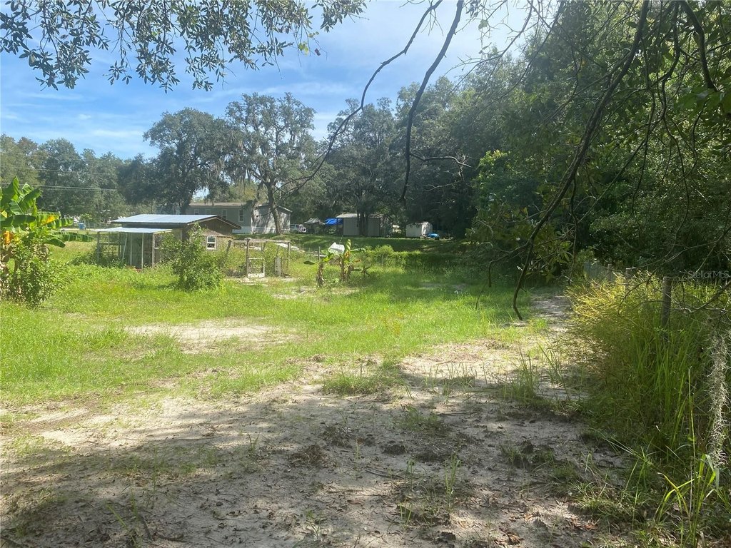 Picture 15