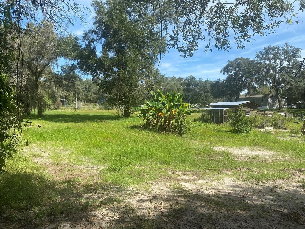 Picture 16
