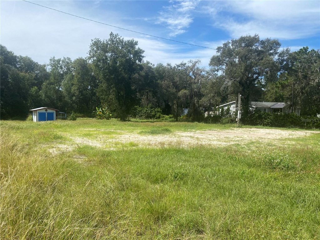 Picture 9