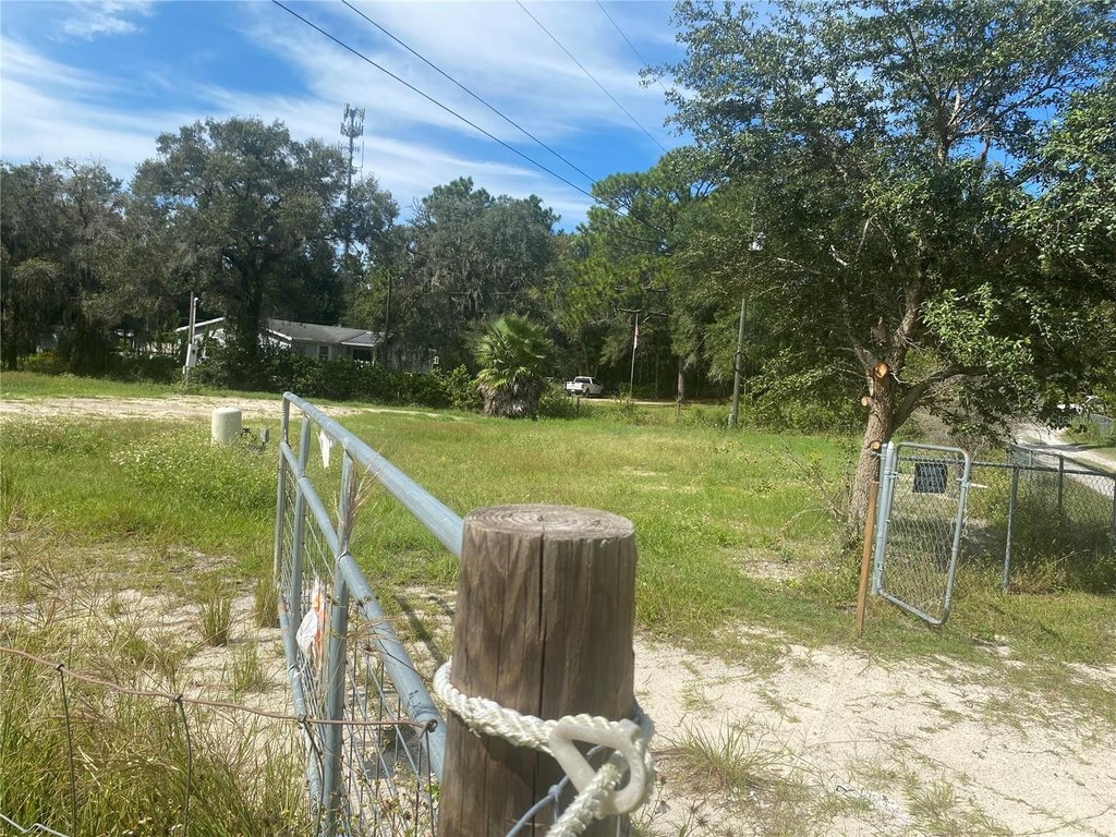 Picture 8