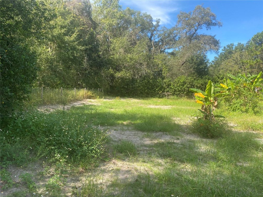 Picture 17