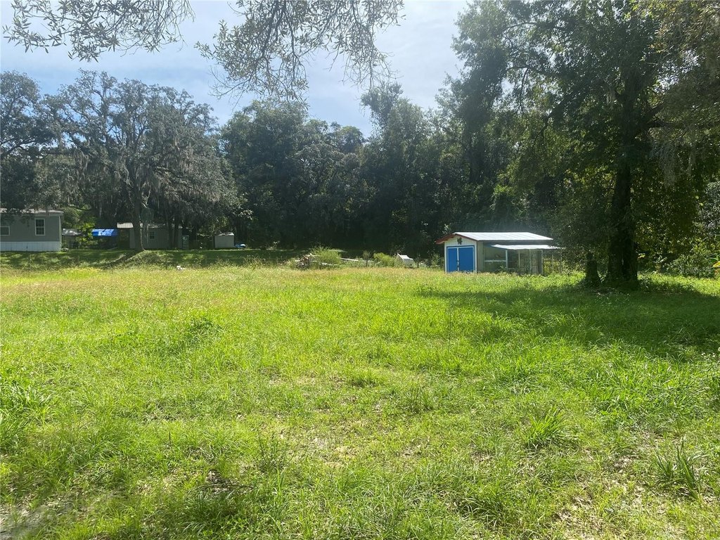 Picture 14