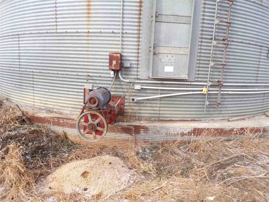 Picture 5