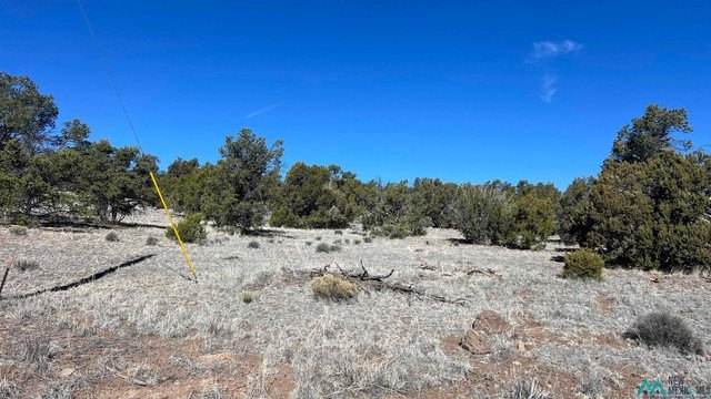 Picture 20
