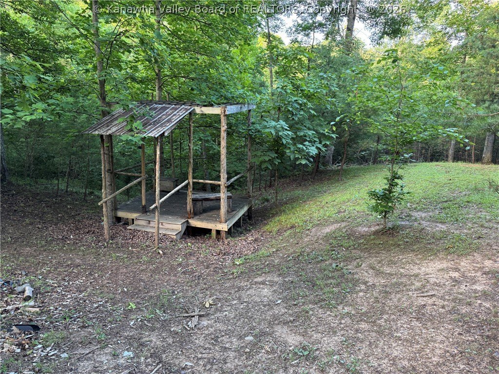Picture 6