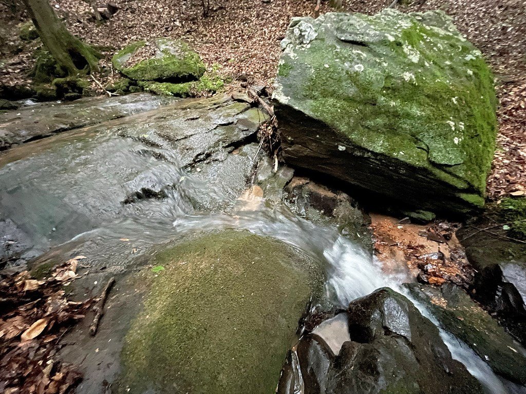 Picture 21
