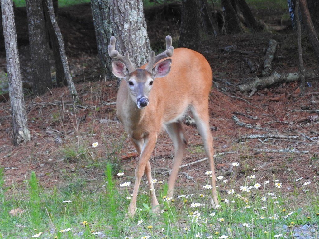 Picture 6