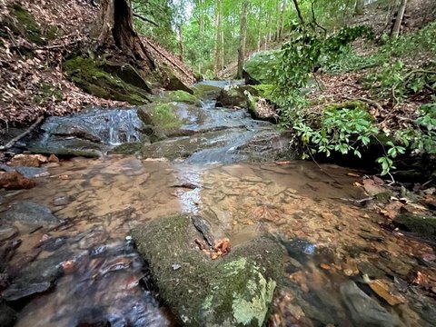 Waterfront Land Tract with Creek